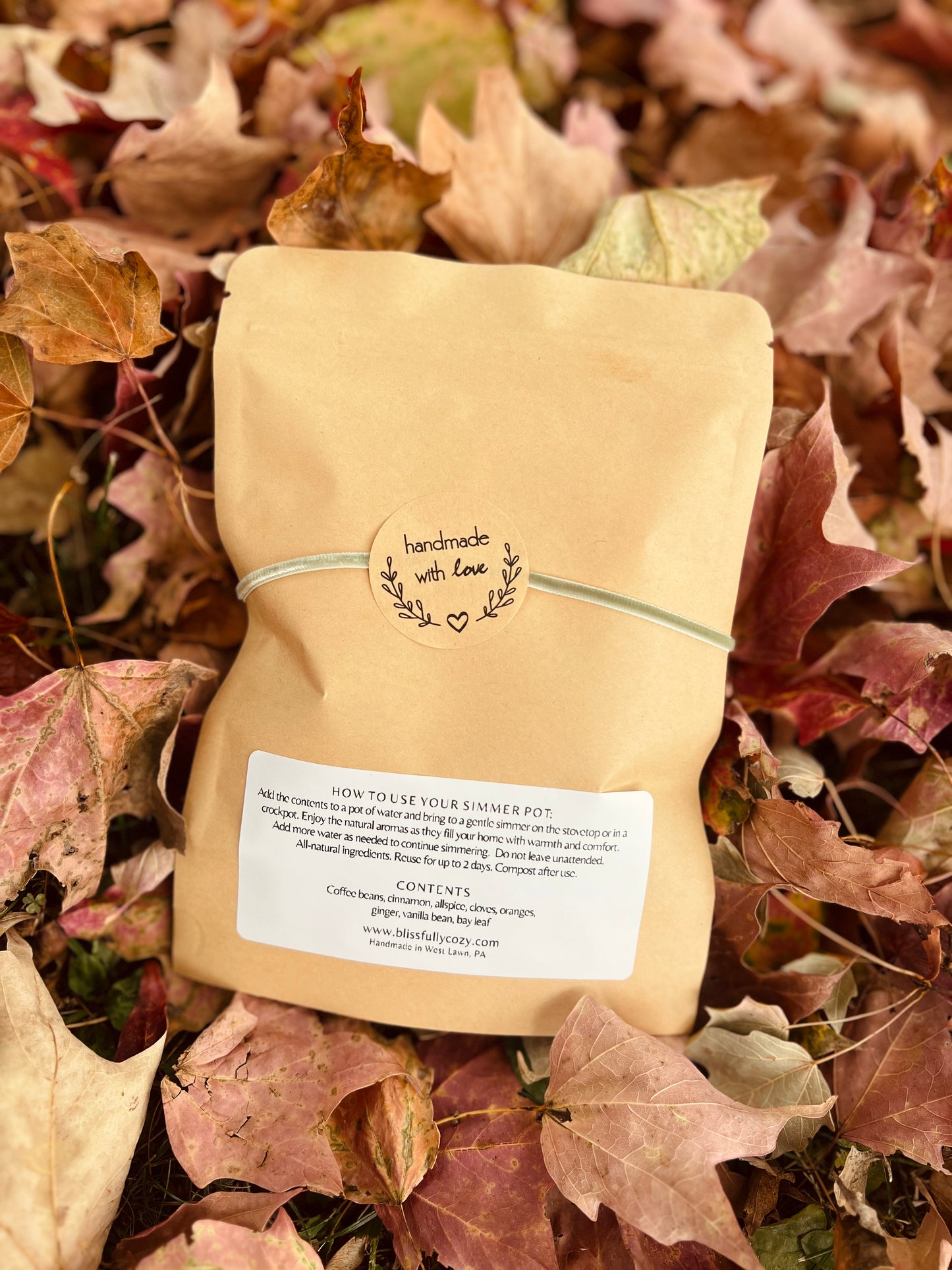 Pumpkin Latte Simmer Pot