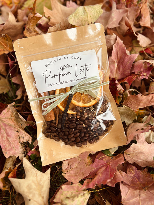 Pumpkin Latte Simmer Pot