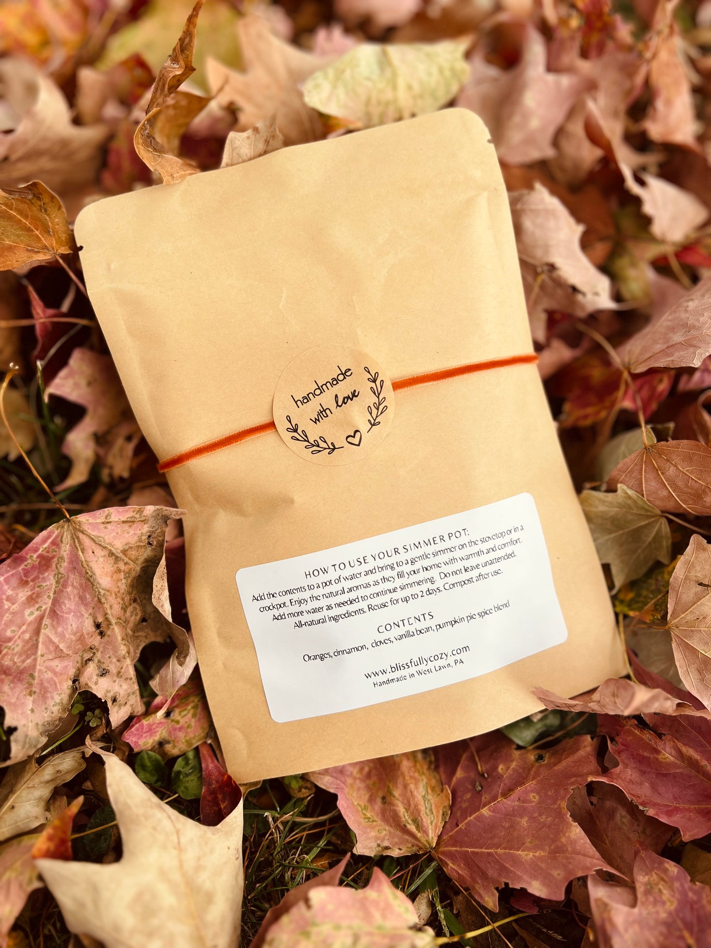 Pumpkin Spice Simmer Pot