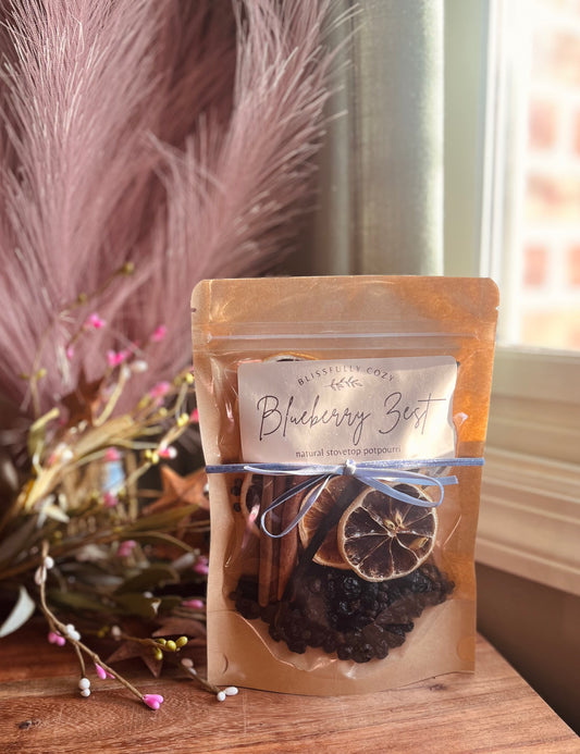 Blueberry Zest Simmer Pot